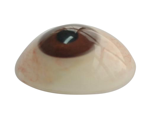 七台河微雕义眼定制